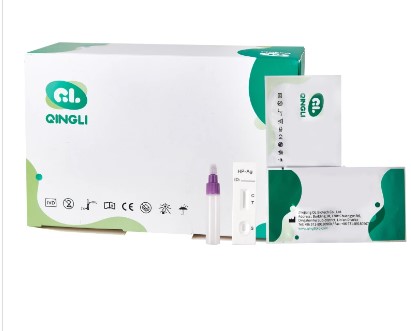 Advancements in H. Pylori Detection: The Role of Rapid Testing